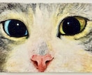 動物の肖像画を画家兼デザイナーがお描きします 手描きならではの温かみを大切にしています イメージ2
