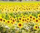 インスタ★リール+5000再生増加します 【最高品質】最短即日納品｜最大50万再生｜宣伝・拡散 イメージ3