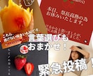 気軽に始める運用代行！だけどしっかり作ります 運用代行初めてだから、ちょっと不安…。だからこそ、お試し！ イメージ9