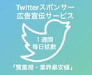 Twitterで1週間あなたを拡散・宣伝いたします 〜６つの拡散アカウントと拡散グループで宣伝します〜 イメージ1