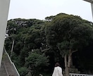 スッキリお悩み解決！視えたままお伝え致します 恋愛、結婚、人間関係、仕事、人生、ペットの気持ち等◎祈願付き イメージ7