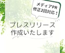 メディアの目にとまるプレスリリース作成いたします メディアの目にとまるリリース作成でPR、宣伝のサポートします イメージ1