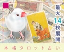 本格タロット占い！霊感タロットで占います 最大14枚展開で詳細に占い。17時までのお申込で当日回答可。 イメージ1