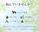 死別の哀しみ、悲嘆療法であなたに伴走します ～グリーフ・ケア〜 あなたの心の声をしっかり受け止めます イメージ2