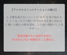 アニマルコミュニケーション｜魂と対話します 亡くなった子も可能。過去世や相性、エネルギー解析もできます イメージ2
