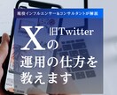 現役インフルエンサーがバズるX運用方法を教えます 格安！X（旧Twitter）運用のコツ・やり方を解説します イメージ1