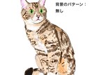 ペットの似顔絵イラストやアイコンお描きいたします お写真を元にご家族さまのデジタルイラストをお描きいたします！ イメージ6