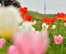 プロカメラマンが個性豊かな写真をお撮りします どんなシーンにもご対応します、ぜひご相談ください！ イメージ8