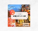 思わず目に止まる！注目度UPのWEB画像作ります ★3月までの限定価格★お洒落なサムネ1枚1,500円！ イメージ5