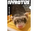 ファッション雑誌の表紙っぽいクリアファイル作ります とっておきの写真であなたのペットを雑誌デビューさせよう！ イメージ4