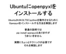 ubuntuにopenpyxlを実装を解説します ubuntu24.04.3にopenpyxlをインストール イメージ1