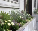 花壇・寄せ植えの植栽デザイン提案します 写真を基に､完成イメージ付きで分かりやすく提案 イメージ2