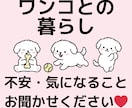 ワンコ×1人暮らしの方❣︎暮らしの相談のります 1人暮らしのワンコの飼い主さん向け⋈お悩みありませんか？ イメージ1