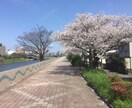 お気軽にどうぞ。愚痴でも何でも聞きます 今、不安な方、気持ちを全部吐き出してみてください。 イメージ2