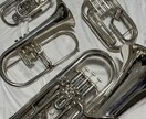トランペット、ホルンなど金管楽器の録音します 職業演奏家の演奏で楽曲の録音します。金管楽器全般可能です。 イメージ1