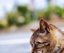 レタッチ代行！時間のかかるレタッチ受け付けます こうしたい！という写真のイメージに合わせて仕上げます✨ イメージ5