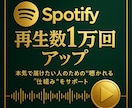 Spotifyの再生回数1万回増やします Spotify集客・リアルユーザー・宣伝・拡散手伝います！ イメージ3