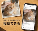 写真1枚で愛猫が動く動画制作します もう一度、あの幸せな時間に会える。 イメージ5