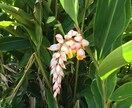 秘密厳守☆うちな～んちゅが全て受けとめます お試し1分からでも。悩みがなくてもかまいません。 イメージ4