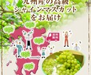 ECサイトの商品画像作成を行います 楽天市場のサムネイル画像など1枚（4000円～） イメージ7