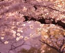 恋愛相談 辛い恋のお悩み解決します あなたの心に寄り添い希望ある未来へ導きます。 イメージ8