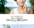 STUDIOで高品質なオリジナルLPを制作します お手頃価格で高品質！売上アップにつながるLPをお届けします！ イメージ6