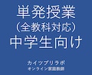 単発授業(60分)を行います 体験授業受講済みの方で、単発授業ご希望の方向け授業です イメージ1