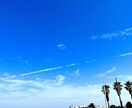 自然や動物、視界に入った何気ない風景等撮影してます 写真初心者ですが自分の力を確かめたい イメージ2