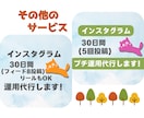 1ヶ月間インスタグラムのいいね運用代行いたします ✦認知度アップ！完全手動でターゲットにアプローチします！ イメージ7