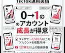 TikTokの動画制作・運用代行します TikTokの動画制作、投稿・分析まで、運用をサポートします イメージ3