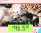 必要な方に届けたい初めてのお試しヒーリングします 気功ヒーラーが医療気功であなたもペットも笑顔になるお手伝い☆ イメージ2