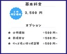 3件限定価格！おすわりぬいぐるみをお描きします 限定価格は残り１枠！あなたのお姿をぬいぐるみ風イラストに！！ イメージ2