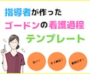ゴードンのアセスメントの書き方見本を販売します ゴードンの機能的健康管理パターンがスラスラ書ける◎ イメージ1