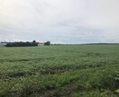 北海道生産者向　衛星写真で生育や地力を可視化します 衛星で畑の状態を手軽に見える化♪ 1 イメージ1