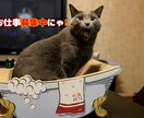 納期2日以内でYouTube動画編集請け負います スピーディーに編集させて頂きます！連絡もこまめに。 イメージ1