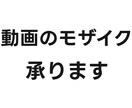 どんな動画でもモザイク処理を施します 10分3000円～でできるモザイクでプライバシーを守ります イメージ1