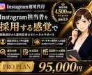 Instagram運用代行｜戦略設計から支援します 現役SNSコンサル監修｜売上導線まで設計 イメージ1
