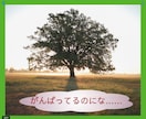 独身男性おともだち★として優しくお話お聴きします 【愚痴・雑談・モヤモヤ】ちょこっと話したいさ〜ん❗️大集合♡ イメージ5