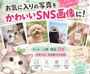 お気に入りの写真からかわいいSNS画像を制作します ペット・人物・商品などのお写真をかわいくデザインします イメージ1