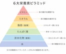 ペットの栄養に関する講義を行います いきものの栄養に関する知識の習得をサポートします イメージ1