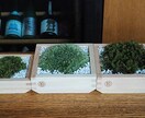 苔玉盆栽をつかった癒やし空間アドバイス致します ホテル･店舗等ディスプレイ提案＆オーダー制作インバウンド向け イメージ3