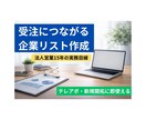 BtoB営業リスト作成します 法人営業経験15年の実務目線で作成 イメージ1