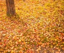 波動調整をします 波動が下がったり、あがったりその原因を見つけましょう イメージ1