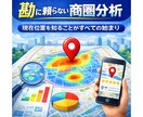 商圏分析｜現状を把握→戦略ロードマップ策定します 経営経験のあるプロが直接作成｜バックデータも提供可 イメージ1
