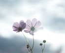 あなたの撮った写真のRAW現像を代行します 現役で写真現像をしている私があなたの写真を仕上げます！ イメージ3