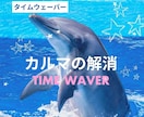 魂、先祖、過去生に関わるすべてのカルマを解消します NEW★タイムウェーバーがあなたにかかわるカルマを解消します イメージ1