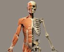 体操や運動に対して、今すぐできるアドバイスをします 病院、クリニック、老人施設での勤務経験があります！ イメージ2
