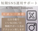 X（Twitter）戦略的お試しサポート致します 完全手動のアクションで認知拡大へのサポートを行います！ イメージ1