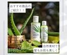 あなたのInstagram運用します 【2か月目以降】まるっと全部！お任せプラン イメージ2