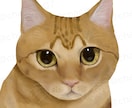 大切な愛猫の似顔絵をリアルタッチで描きます お写真をもとに、一枚一枚丁寧に心を込めて制作いたします。 イメージ2